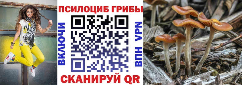 Псилоцибиновые грибы мухоморы  дарк нет официальный сайт  Лесозаводск 