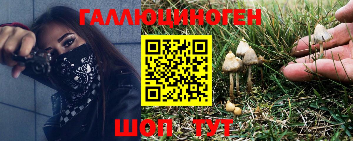 Псилоцибиновые грибы MAGIC MUSHROOMS Лесозаводск