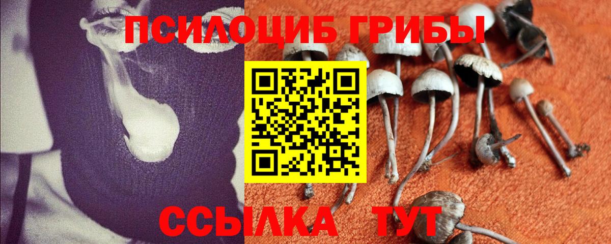Псилоцибиновые грибы ЛСД  Вход с VPN  Лесозаводск 