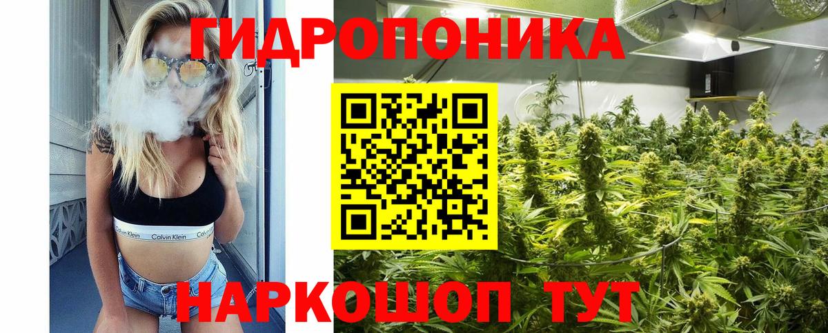 Канабис Bruce Banner  Бошки Шишки LSD WEED  Конопля планчик  Лесозаводск  Вход с VPN  Конопля LSD WEED 